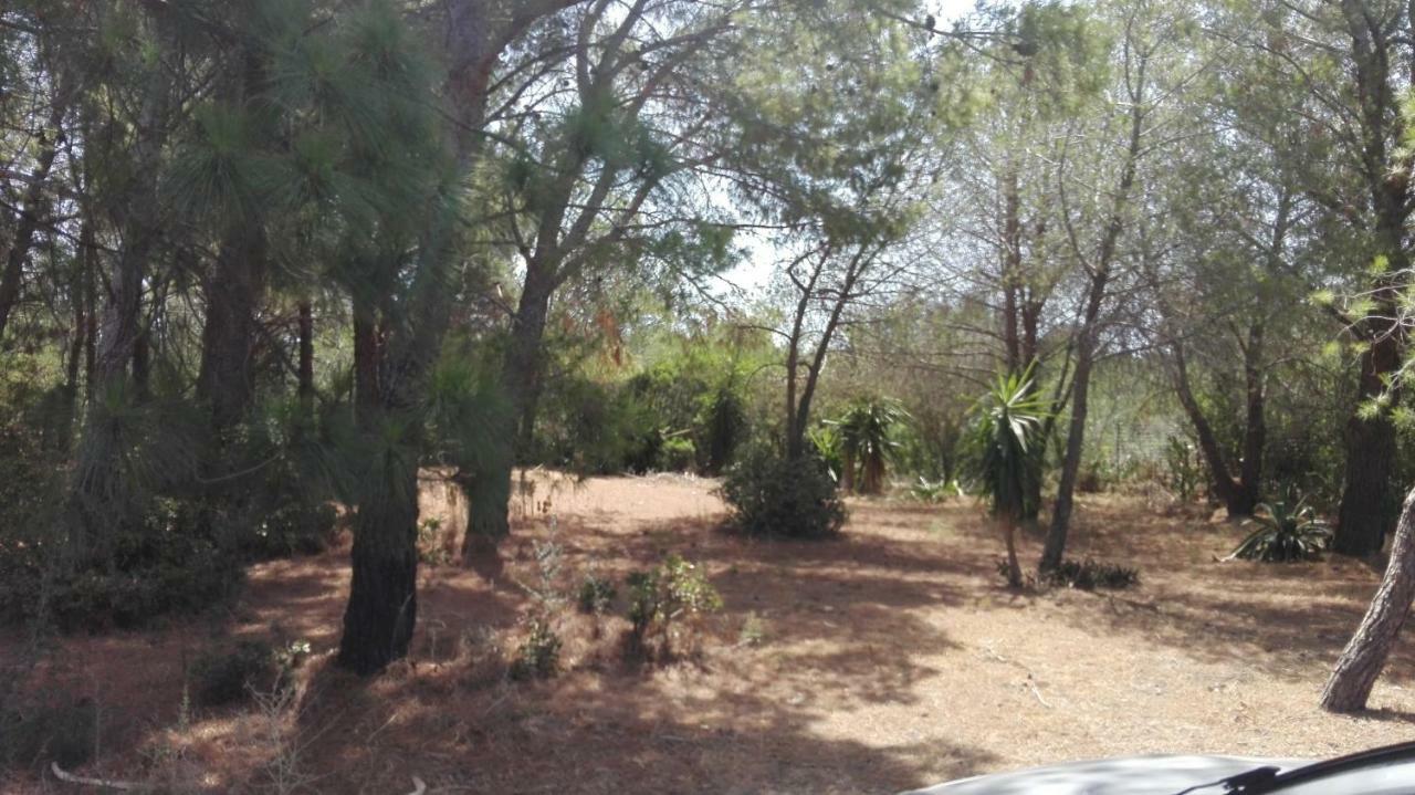 הוילה Chia Zeffiro מראה חיצוני תמונה
