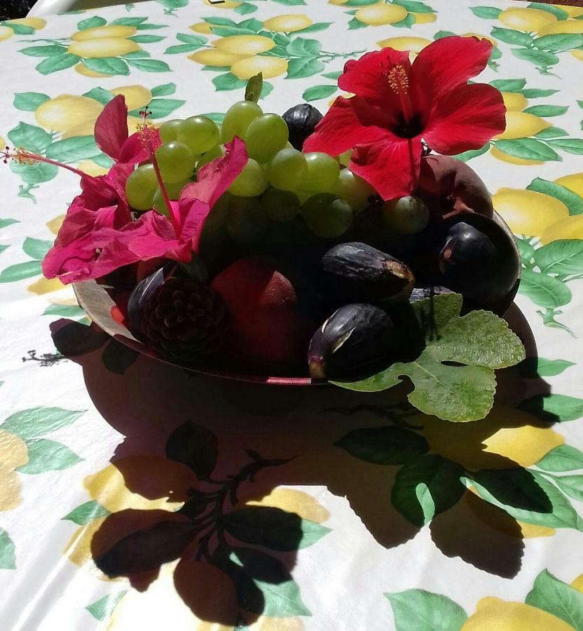 הוילה Chia Zeffiro מראה חיצוני תמונה