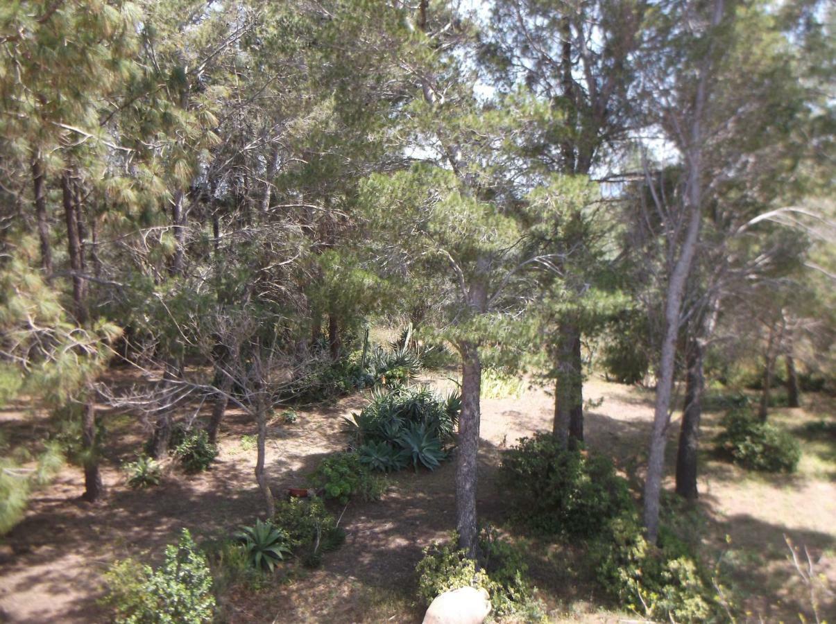 הוילה Chia Zeffiro מראה חיצוני תמונה